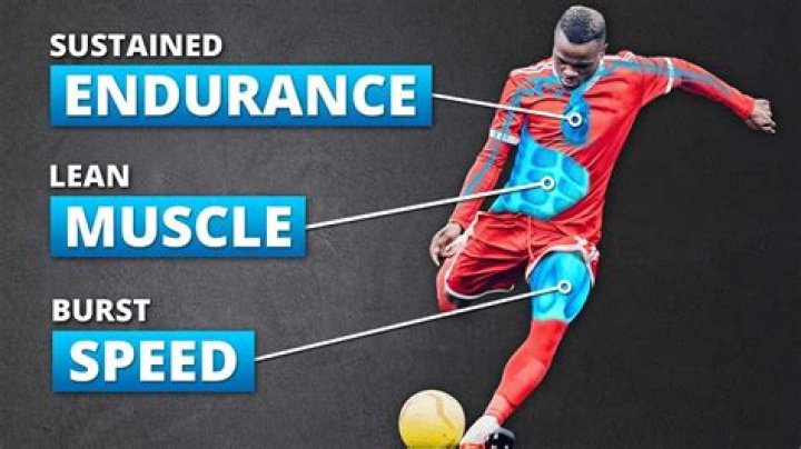 Unveiling The Physicality Of Fanum: Height And Its Significance